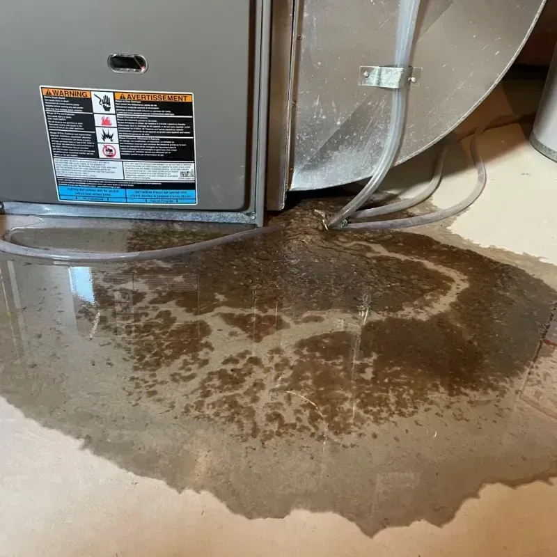 Appliance Leak Cleanup in Jackson County, TN